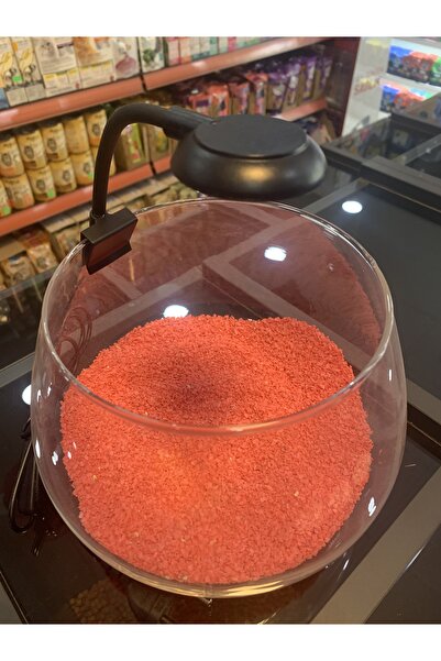 Antikapetshop Mini Akvaryum - Fanus Armatür Işığı - 220 w, 4 renkli - nano ar...