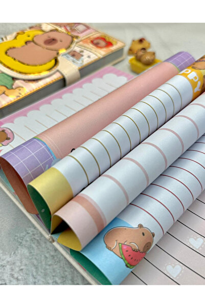 ZeCo Collection Duck and Capybara Special Design Colorful Illustrated Notebook/Diary/Bullet Journal