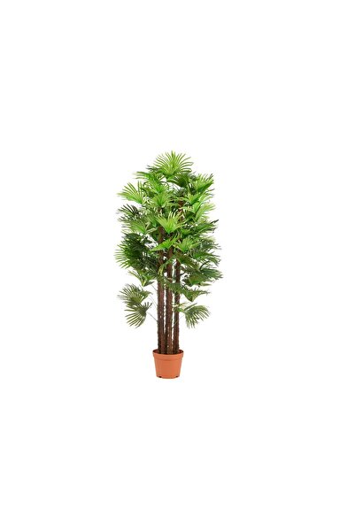 sultan garden center نخلة سيدة اصطناعية 90LVS