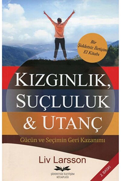 Remzi Kitabevi Kızgınlık, Suçluluk & Utanç