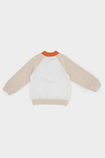 Panço Erkek Ecru Örme Kolej Yaka Ceket