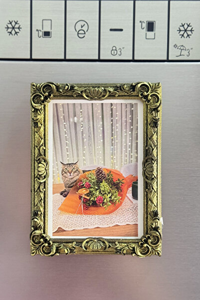 ZAP AKSESUAR Magnet Çerçeve, Boyutlu Klasik Tarz Minyatür Çerçeve Magnet