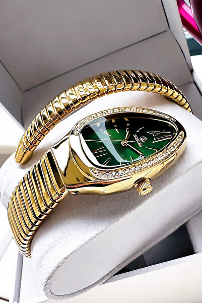 Homies Special Boxed Snake Model Women Wristwatch Waterproof Gold Color Steel Band - Bracelet Hmby2049C5