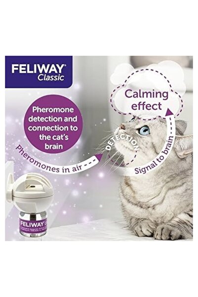 FELIWAY Classic başlangıç seti