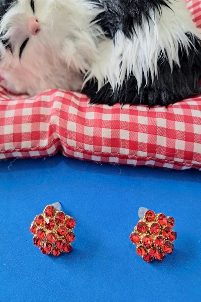 Boox99 Wip Mavi Taşlı Düğme Abiye Küpe