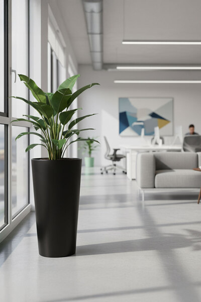 DEQQU Aura Vaso 70x40cm Konik Fiberglass Saksı Büyük Boy İç Mekan Dış Mekan