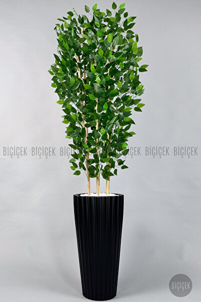 BİÇİÇEK Yapay Bambu ve Benjamin 6 dallı Yoğun Yapraklı 220 cm