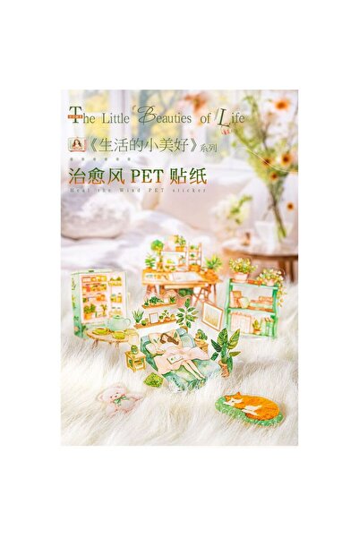 İthal P13-25 bucăți autocolant PET pentru articole de uz casnic - Număr: 5