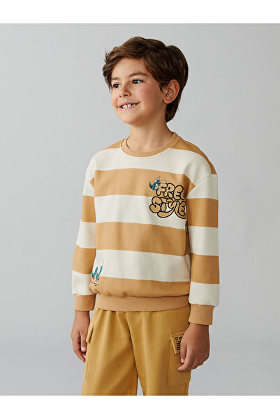 LC Waikiki Hanorac pentru băieți cu gât cu imprimeu