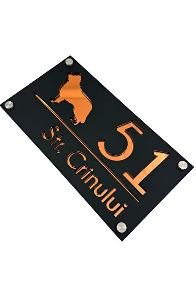 Adresa VIP NUMAR CASA PREMIUM - Negru Satinat Cupru Oglinda 4 Distantieri Arg...