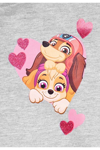 PAW PATROL Children's hoodie, gray, cotton, Love,