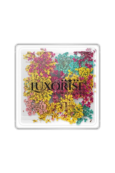 LUXORISE Unghii cu flori uscate - Miraj de vară