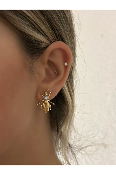 MyladyAccessoriess أقراط على شكل خنفساء مزدوجة اللون (فولاذ)