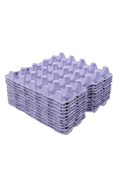 İnci 17 LBS YUMURTA VİYOLÜ 30'LU (100 ADET)