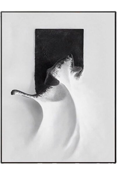 Emoda home Trove ديكور جداري مطبوع عليه صورة قماشية ثلاثية الأبعاد، مقاس 40×60 سم - لوحة فنية حديثة مؤطرة لغرفة النوم والممر والمكتب