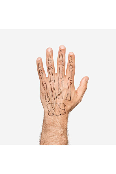 Flying Tiger Copenhagen İskelet Desenli 2'li Geçici Dövme