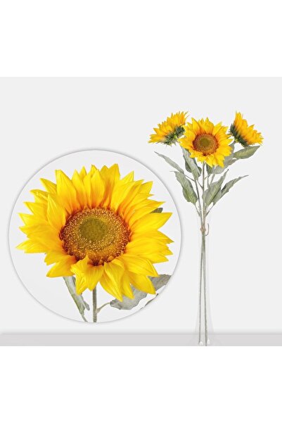 Emoda home Trove سيقان عباد الشمس الاصطناعية من ألايرا، 3 قطع - 100 سم، زهور ...