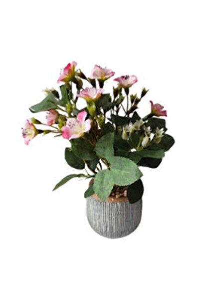 SHOPIENS Photo frame 3392-06T 46, rectangular, 15 x 10 cm, black, plastic