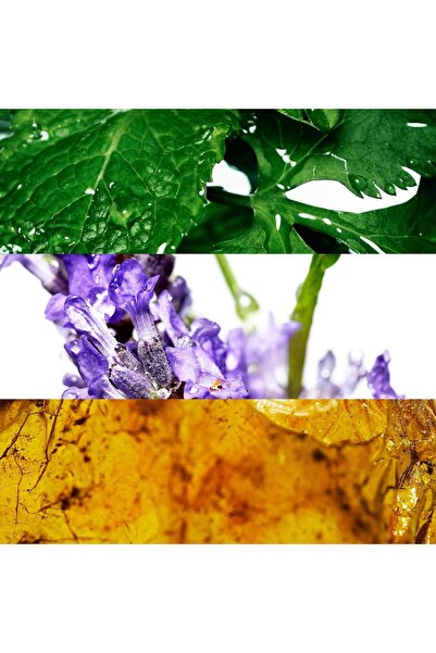 Davidoff Men's Cool Water Deodorant Stick 2.5 oz