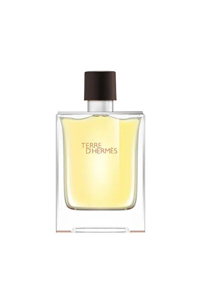 Hermes Terre d'Hermès Eau de Parfum - 100ml