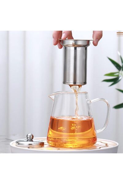 TAPIT Glass Tea Pot, Borosilicate Glass Tea Kettle for Loose Leaf Tea, Transparent Teapot with Stain