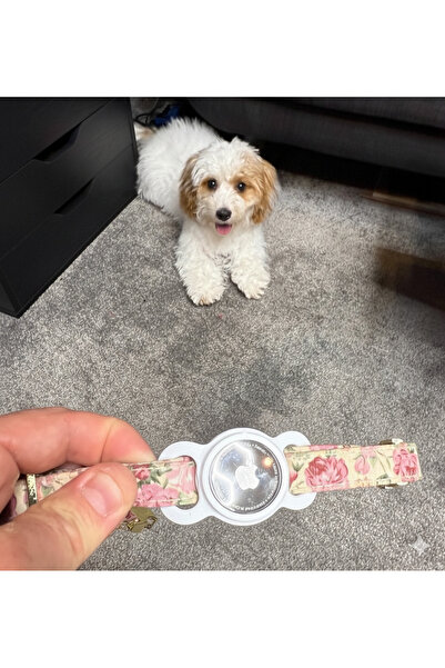 Generic Dayanıklı Silikon Airtag Tutucu – Tasmalar Için Airtag Kılıfı - talebe göre tasma genişliği