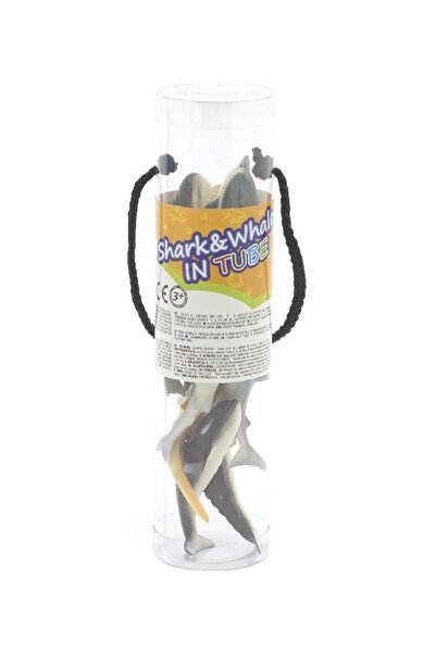 Animal World عالم الحيوان في أنبوب القرش والحيتان