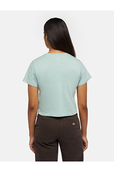 Dickies Women's light blue T-shirt Aitkin