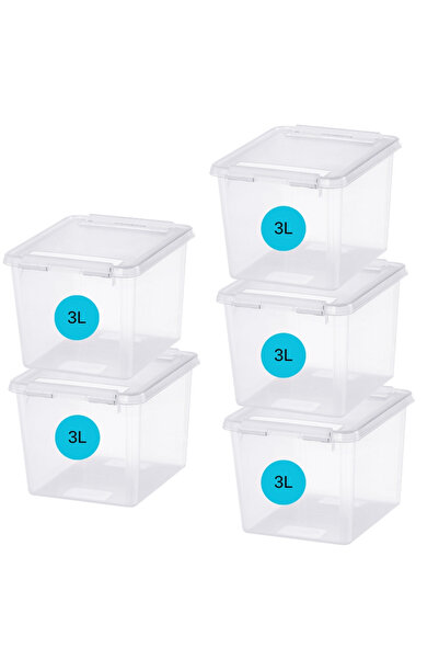 Orthex Set of 5 Boxes with lid 3 L, SmartStore Home3, 21x17x15 cm