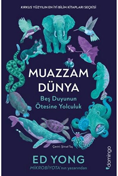 Yeditepe Yayınevi Muazzam Dünya Beş Duyunun Ötesine Yolculuk