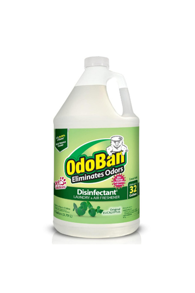 OdoBan معطر جو برائحة الأوكالبتوس، مطهر للغسيل والهواء، 1 جالون