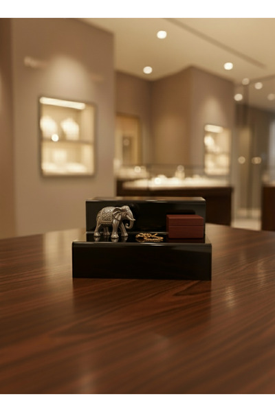 STANDORA رف سلم من الأكريليك الشفاف بسمك 3 مم، أسود، عرض 20 سم، طبقتان، حامل ...