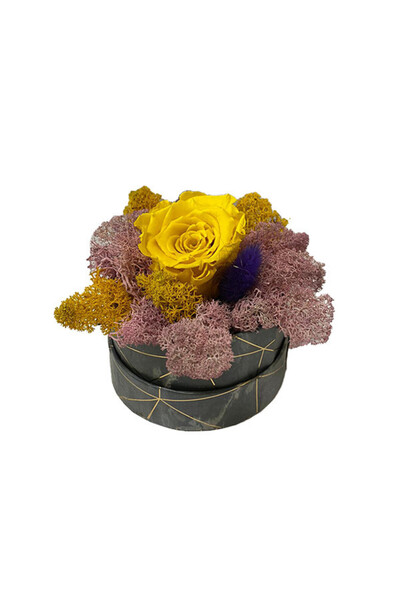 velve Trandafir criogenat Pastel Perfection decorat in cutie cu licheni natur...