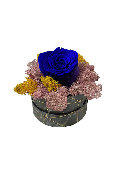 velve Trandafir criogenat Pastel Perfection decorat in cutie cu licheni naturali stabilizati, Albastru