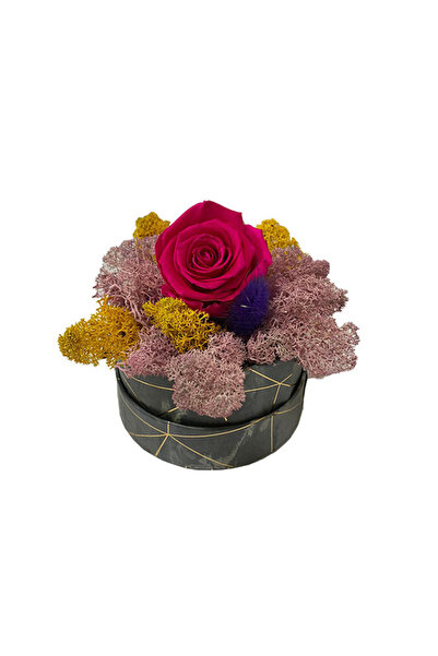 velve Trandafir criogenat Pastel Perfection decorat in cutie cu licheni natur...