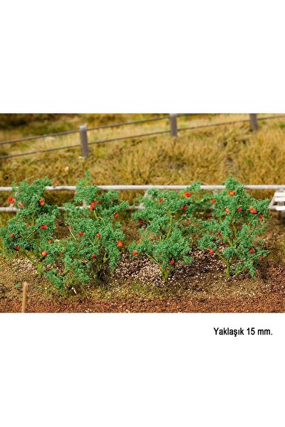 Genel Markalar 181259 Domates Fideleri, 18 Adet