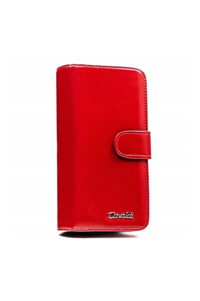 4U Cavaldi N118APUBL72305