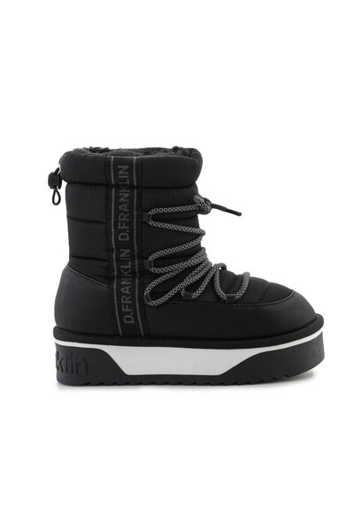 D.Franklin Nordic V.2 Bomb