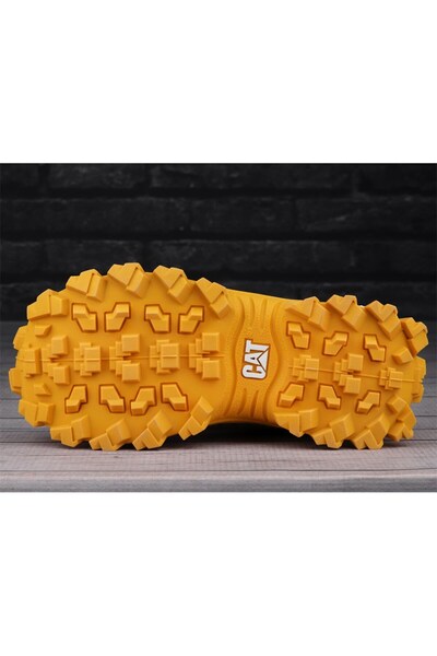 Caterpillar Intruder