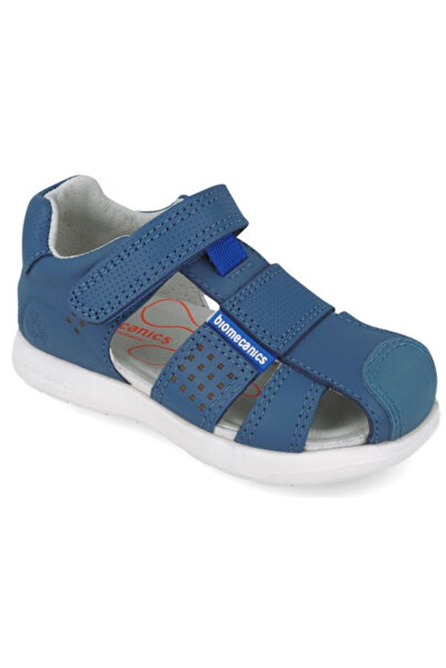 BIOMECANICS Bioevolution