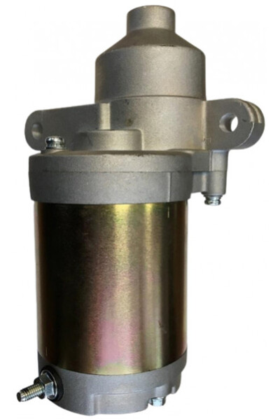 China Electromotor MTD Thorx, Zongshen XP420 11,5HP