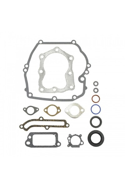 TAIWAN Set garnituri pentru motor Briggs&Stratton Quantum 3.5hp, 4hp