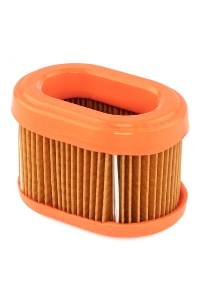 China Filtru de aer motor Briggs & Stratton 790166