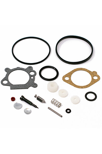 TAIWAN Set de reparații carburator Briggs Stratton 498260