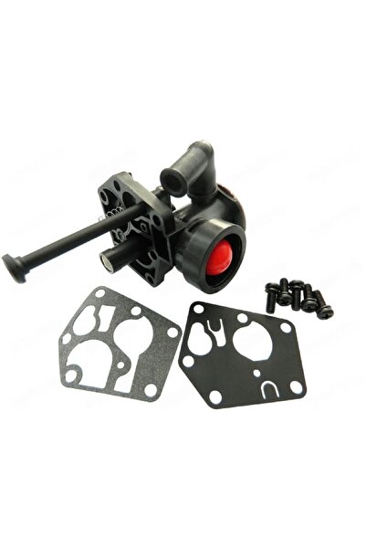 China Carburator Briggs&Stratton 498809, 497619 CAL I (modificat titlul)