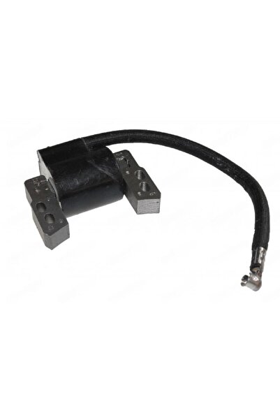 TAIWAN Dispozitiv de aprindere Briggs&Stratton 796964