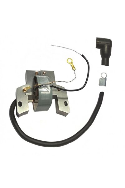 TAIWAN Sistem de aprindere Briggs&Stratton 2 - 4cp 298502