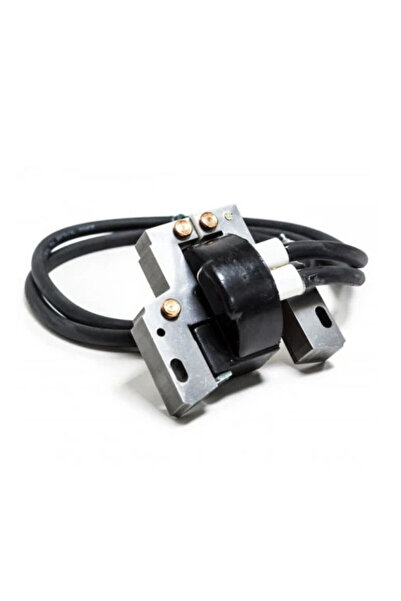 TAIWAN Aprindere Briggs&Stratton pentru motor 2 cilindri 16-18hp (394891)