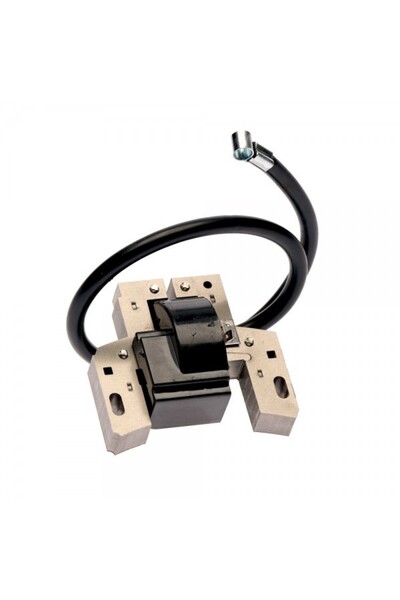 TAIWAN Sistem de aprindere Briggs & Stratton 9-14 HP Vanguard 492341