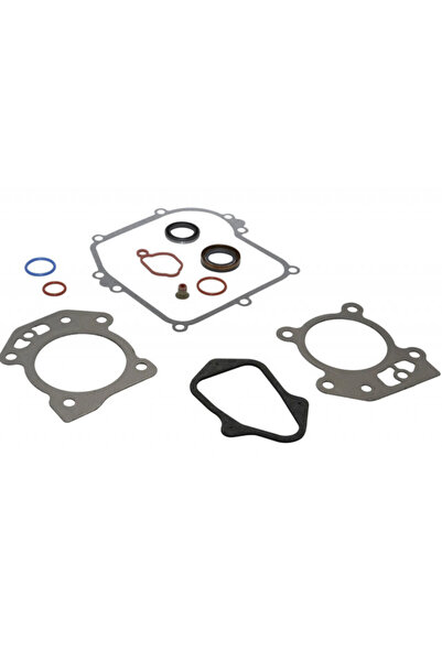 TAIWAN Set garnituri motor Briggs & Stratton (Seriile 450, 500, 550 OHV)